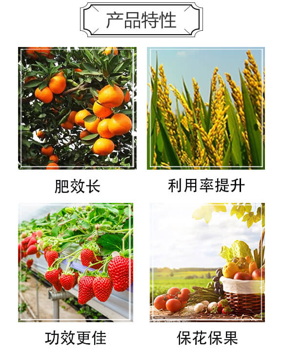 ��(f��)�Ϸ��ϣ����ȩ��17-17-17-������_03