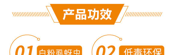 5%��x��+20%߻�x��-��������-����֮��_06