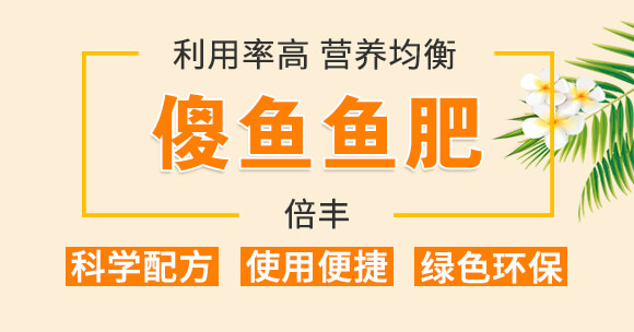 ɵ��-���S_01