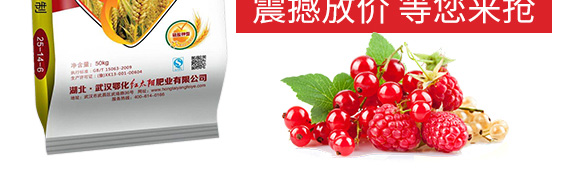 ������͏�(f��)�Ϸ���25-14-6-���_05