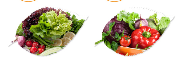 ���ь�(zhu��n)�÷�-���r(n��ng)_08