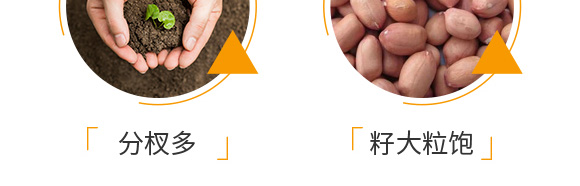 �����ٻ���ᘷ�辄�-��ؔ-�G������_07