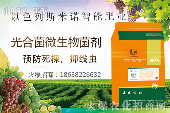 ���Y���xΣ������̫�y��������΢�ء����æ�����ƾ��x���x�����Ƀ���