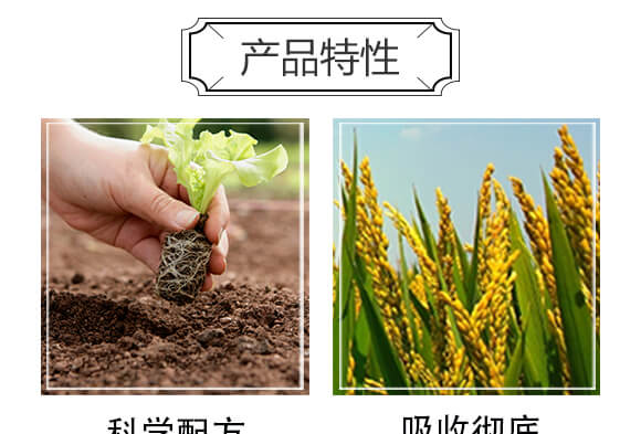 ��������ˮ�ܷ���-��̫��_04