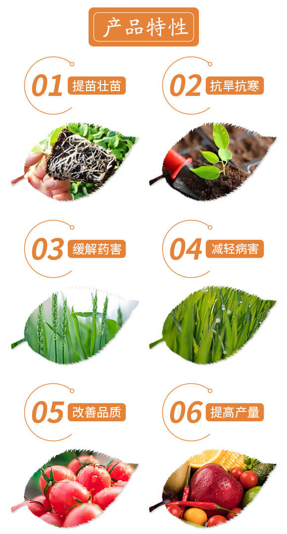 �|̦���L(zh��ng)��-���ƷʘI(y��)_03