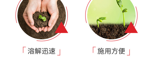 ������͏�(f��)�Ϸ���25-14-6-���_08