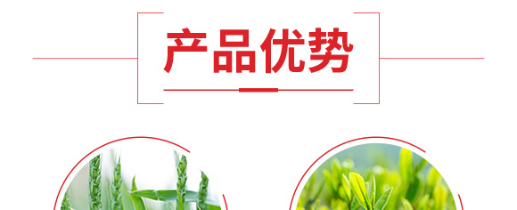 ������͏�(f��)�Ϸ���25-14-6-���_06