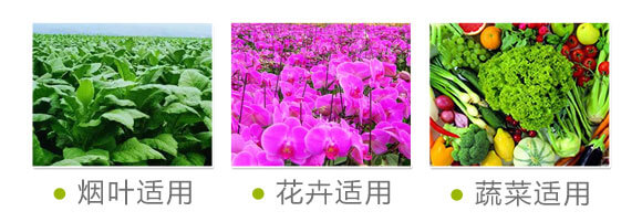 ����ֲ��ˮ�ܷ�-�W�{������-�W�{�r(n��ng)�I(y��)_08