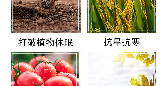 ����������-���S���@_05