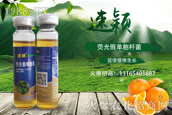 ���ٝ�����Σ��һ���һ���(y��n)�������ٝ�������η��أ�