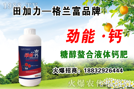 ��(f��)�Ϸʃr��