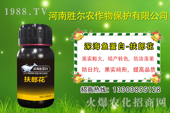 2020��7��13�ս��Շ���(n��i)���@�r(ji��)�����鼰�������u(p��ng)