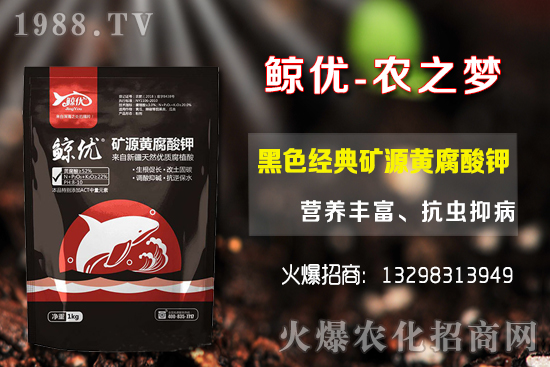 �����ķNֲ�ܶ���������Ʒ�N�x�񼰷Nֲ������