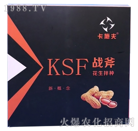 ������N����Щ��̎��������N��ʲô��N����