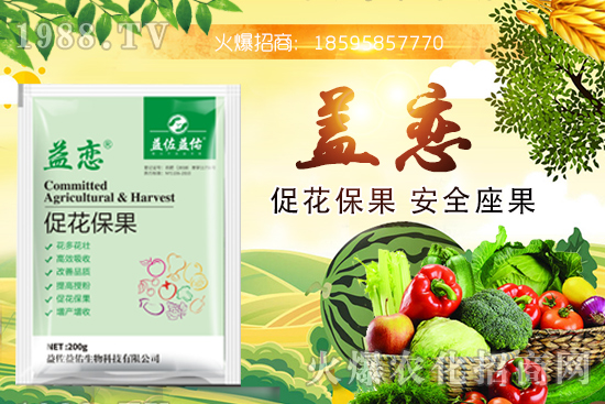 ����픸���