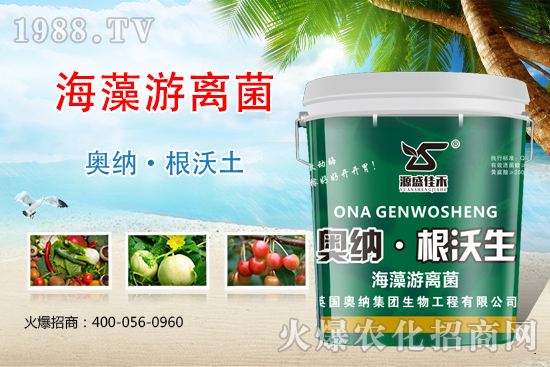 ���ӱ��W�{����Ʒ���u��������������o����ע��I�B(y��ng)�·�����