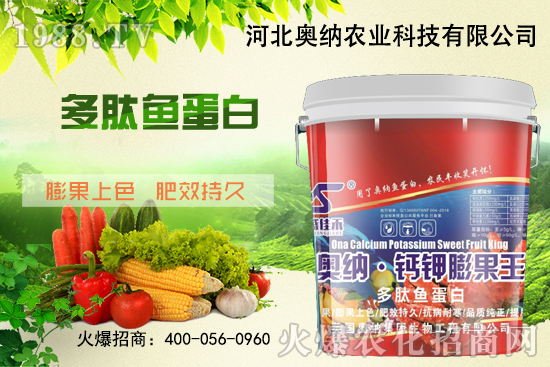 ���ӱ��W�{����Ʒ���u��������������o����ע��I�B(y��ng)�·�����