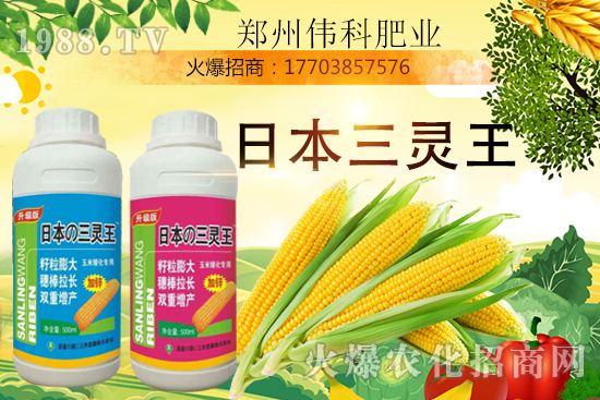 ���׿����״κ������׿����r�g�����׿����a(ch��n)Ʒ�x����