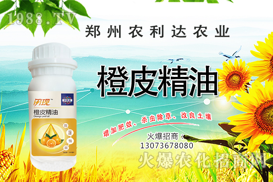 ��Ƥ�������˽��������Ƥ������ʲô��������ô�x��Ƥ������