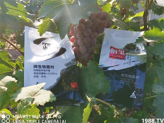 �îa(ch��n)Ʒ����������һ�t���΢������������t���͑��挍(sh��)������