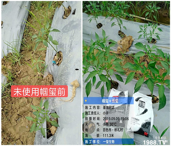 �îa(ch��n)Ʒ����������һ�t���΢������������t���͑��挍(sh��)������