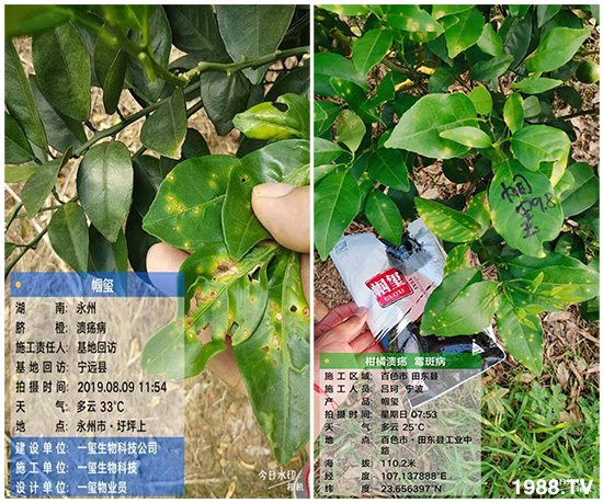 �îa(ch��n)Ʒ����������һ�t���΢������������t���͑��挍(sh��)������