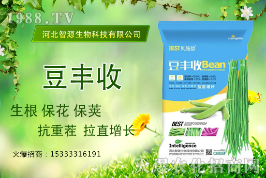 ���ˡ����S�ա���������ֱ���L�a(ch��n)���������S����ʲô��(y��u)����