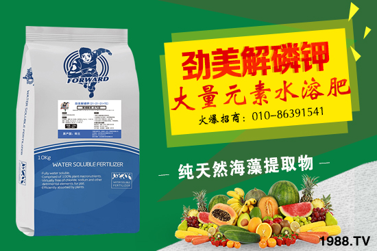 ��(f��)�Ϸ�