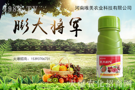 ���������������С��ô��Q����������ʵ��x������Щ��