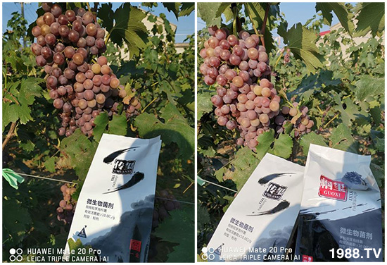 �îa(ch��n)Ʒ����������һ�t���΢������������t���͑��挍(sh��)������