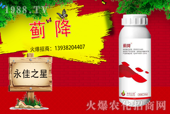 薊馬危害癥狀有哪些？用什么藥能有效防治？