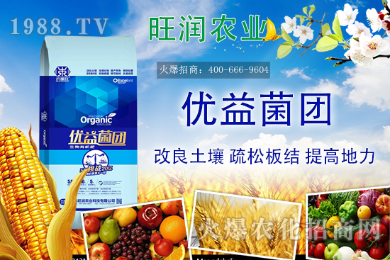 �����ЙC(j��)����ʲô���������ЙC(j��)�ʵă�(y��u)�����c�������ϵą^(q��)�e��