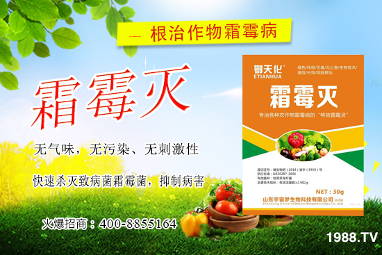 �S��˪ù����(y��n)����ô�k�����������S��˪ù����