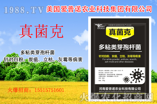 ���������Z��ʲô��(y��u)�������������Z�a(ch��n)Ʒ����Щ��