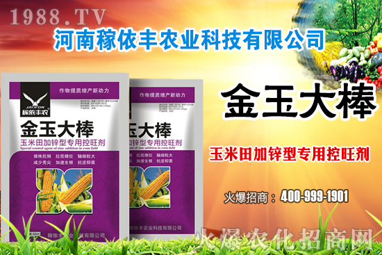 �����Ј�(ch��ng)ƽ��(w��n)�\(y��n)�О�������(g��)�e�؅^(q��)��С���q�������ո��؅^(q��)���؈�(b��o)�r(ji��)��