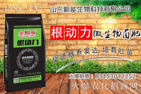 ����������ʲô����ʹ�á�΢������ʡ���ʲô��(y��u)��(sh��)��