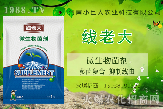 ���Y(ji��)���xզ���������Y(ji��)���x����-�����ϴ󡱶����(f��)�ϡ����ƾ��x��