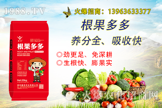 �����������������ô�k����������ࡱ����̽������(sh��)����������B��