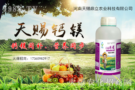 ���n������ʲô��(y��u)�������n�������Ʈa(ch��n)Ʒ����Щ��