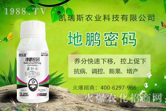 �P��˹�r(n��ng)�I(y��)��ô�ӣ��P��˹�r(n��ng)�I(y��)����a(ch��n)Ʒ����Щ��