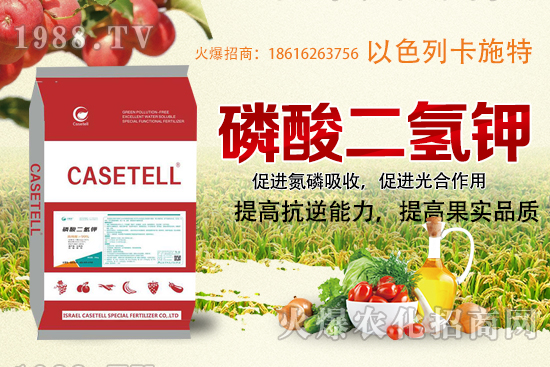  ����������ʲô���ϣ������������ü�ʹ�÷�����