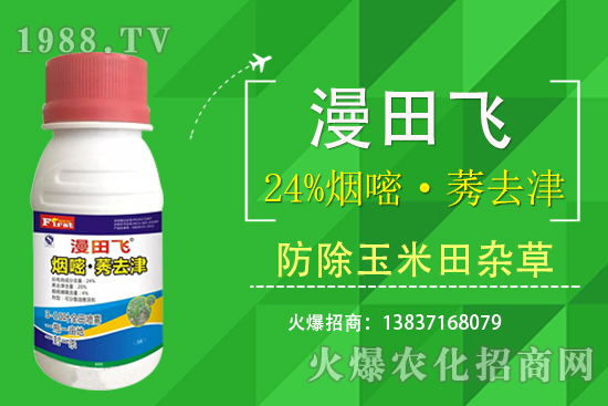 24%���ס�ݬȥ�����Ч���Æ᣿24%���ס�ݬȥ����ʲô���c(di��n)��