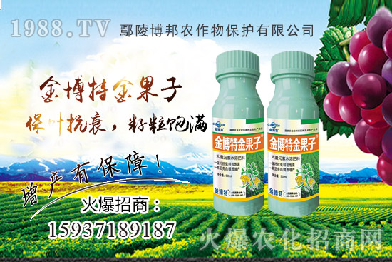 ������˥�p�a(ch��n)����ԓզ�k��������˥ԭ�򣬷Nֲ����α�����