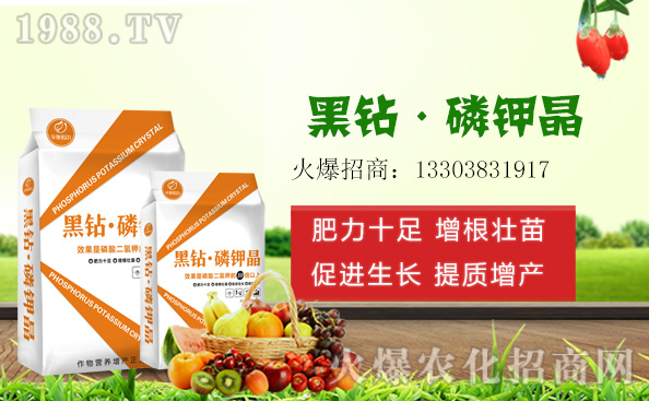 ���؃r(ji��)��