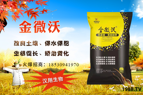 ��ӝh����ô�ӣ���˾��(y��u)����ʲô������a(ch��n)Ʒ����Щ��