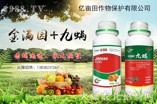 ����x(ch��ng)�y�|������M�@+�������p�������������Ț��约�x(ch��ng)���з�Ч��