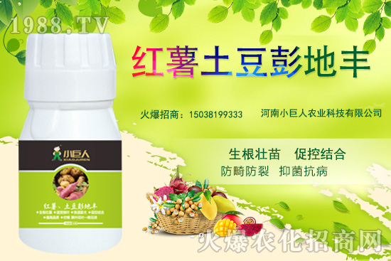 ����С������ô������˾��ʲô��(y��u)�ݣ����Ʈa(ch��n)Ʒ����Щ��