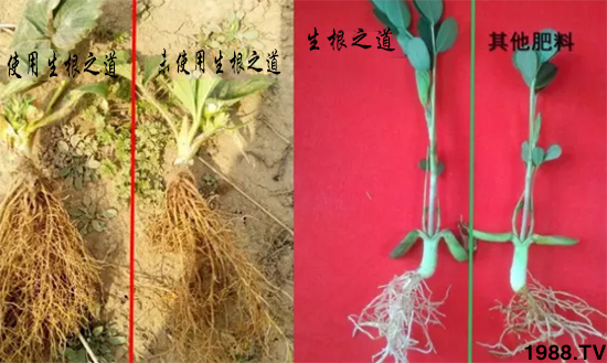 �����ϵ�����a(ch��n)������������֮���������¸����������a(ch��n)�o�n��