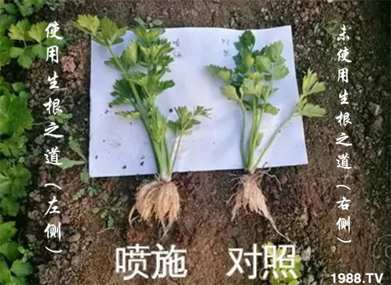 �����ϵ�����a(ch��n)���ͣ�������֮���������¸����������a(ch��n)�o�n��