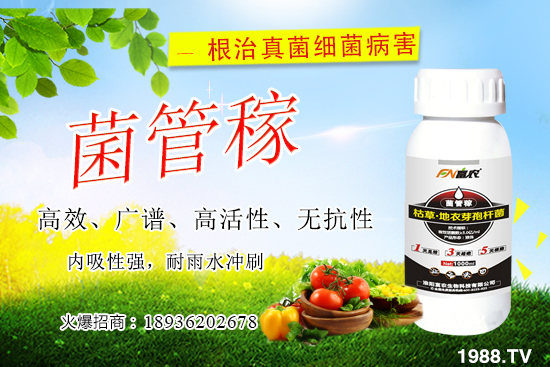 ���䝢��Σ����ʲô�����䝢�������Ά�������ˎ������Щ��